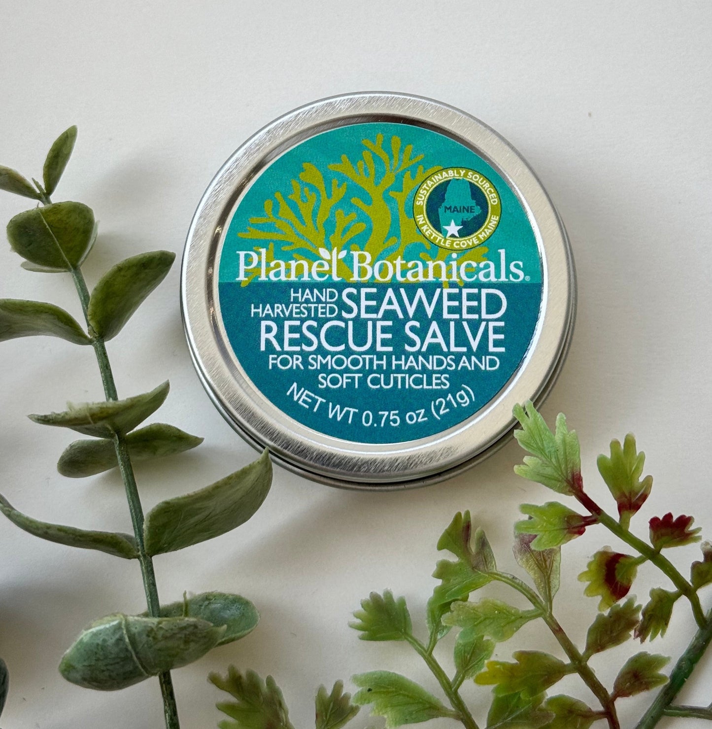 Plant Botanicals Seaweed Rescue Salve