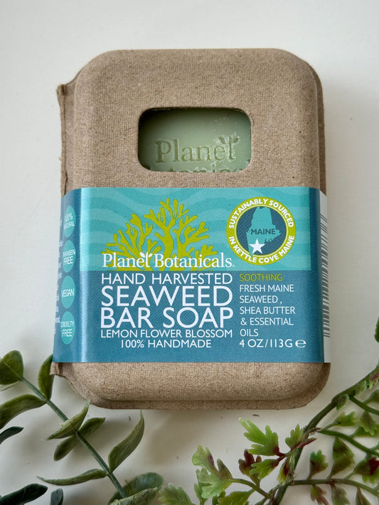 Plant Botanicals Seaweed Bar Soap