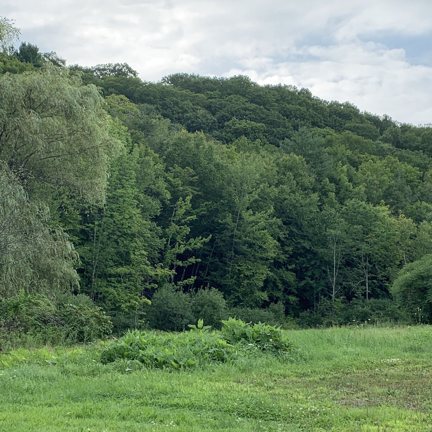 Glass Beadmaking for Beginners at Snow Farm-The New England Craft Program